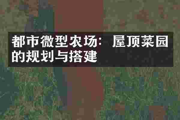 都市微型农场：屋顶菜园的规划与搭建