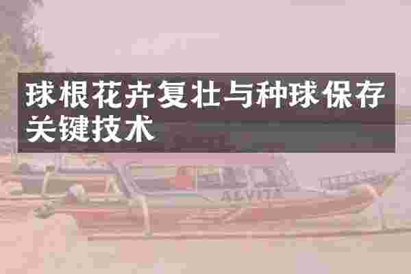球根花卉复壮与种球保存关键技术