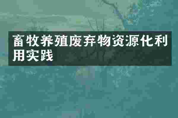 畜牧养殖废弃物资源化利用实践