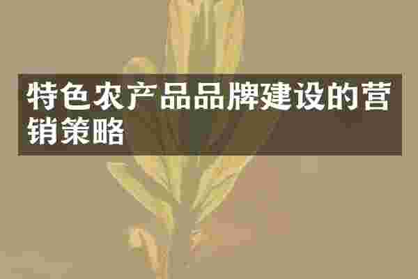 特色农产品品牌建设的营销策略