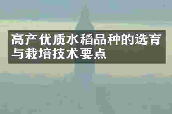 高产优质水稻品种的选育与栽培技术要点