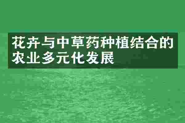 花卉与中草药种植结合的农业多元化发展