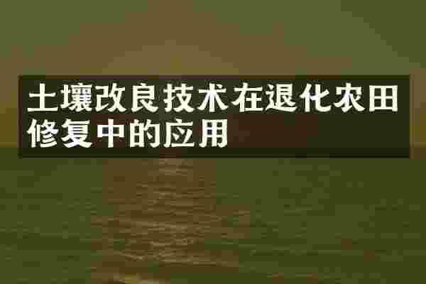 土壤改良技术在退化农田修复中的应用