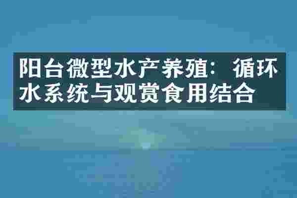 阳台微型水产养殖：循环水系统与观赏食用结合