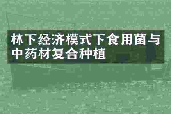 林下经济模式下食用菌与中药材复合种植