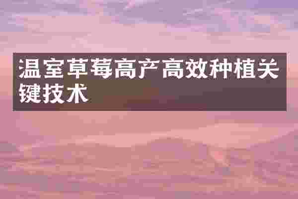 温室草莓高产高效种植关键技术