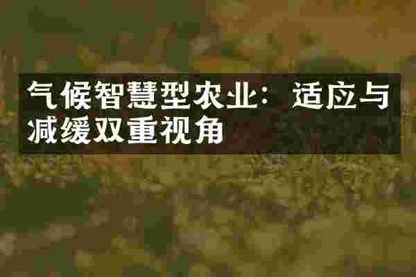 气候智慧型农业：适应与减缓双重视角