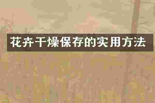 花卉干燥保存的实用方法