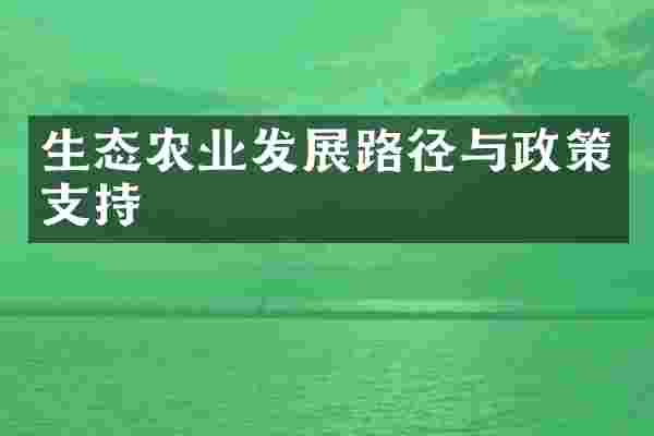 生态农业发展路径与政策支持