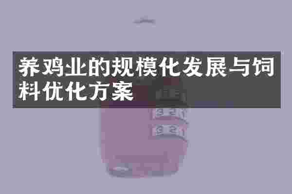 养鸡业的规模化发展与饲料优化方案